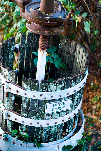 Antique Wine press with copy-space