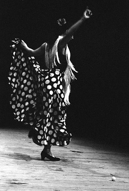 Losing flamenco because stock photo