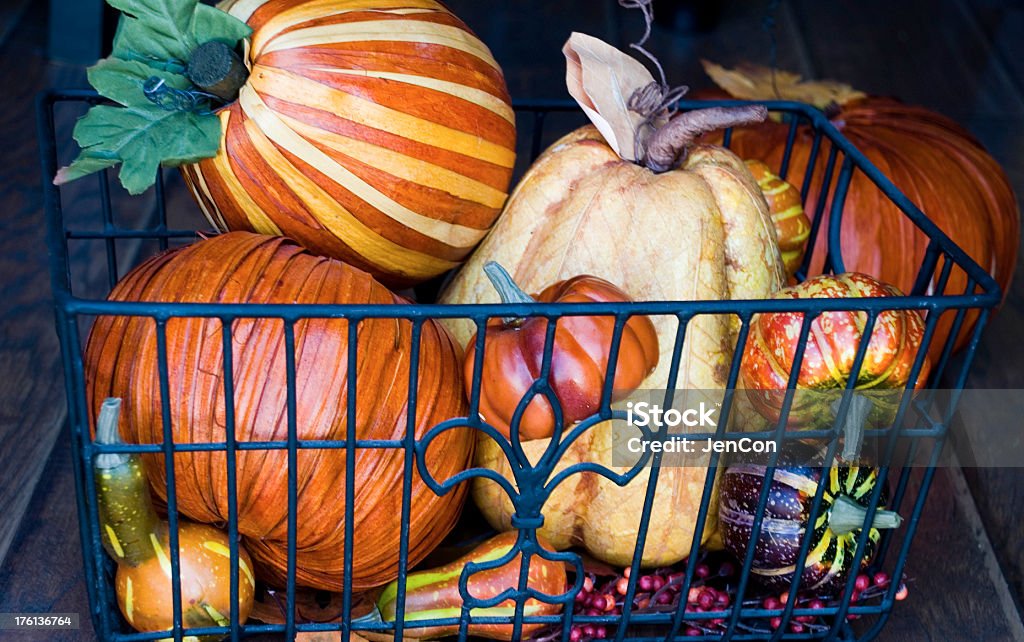 Fall harvest Assorted pumpkins Autumn Stock Photo