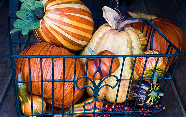 Fall harvest stock photo