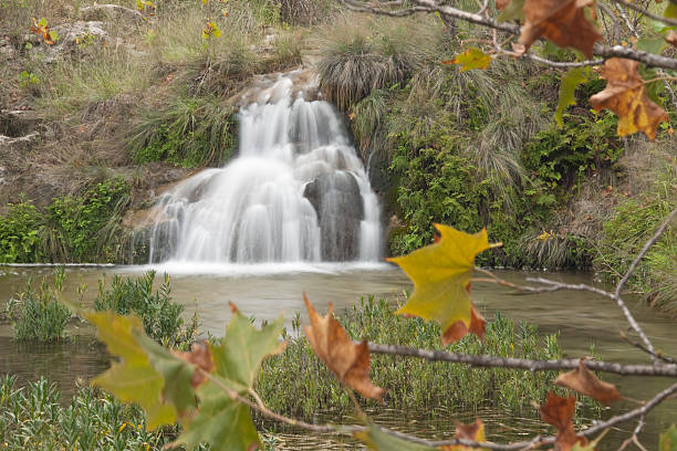 Waterfall, beautiful stream from a mountain in a forest