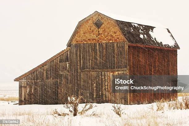 木製バーン雪の冬の嵐 - こけら板のストックフォトや画像を多数ご用意 - こけら板, アメリカ西部, ジャクソンホール