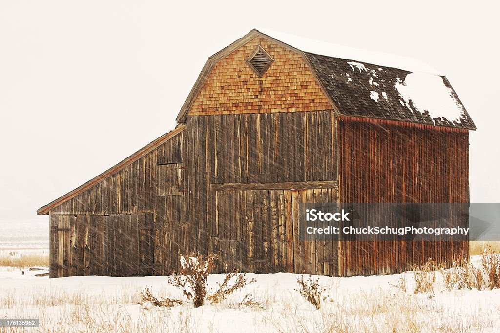 Дерево Barn зимний снег буря - Стоковые фото Emergency Shelter роялти-фри