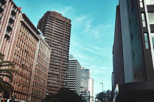 Cityscape, buildings and skyscraper with landscape for urban infrastructure or architecture outdoor in nature. Development, town and skyline with city, tower and hotel with modern exterior or roof