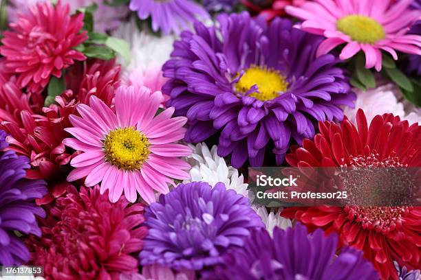 Flores Hermosas Foto de stock y más banco de imágenes de Belleza - Belleza, Belleza de la naturaleza, Blanco - Color