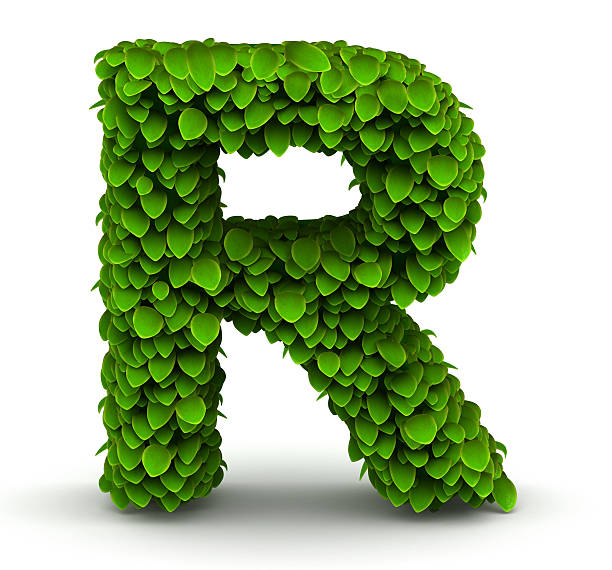 istock Leaves font letter R 176138633