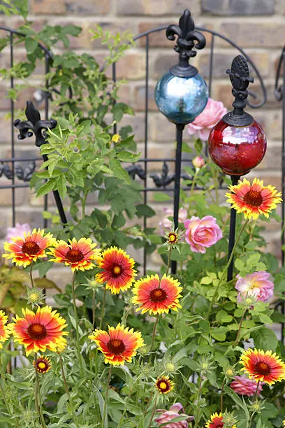 Garden with cockade flowers.Please see more cockade flowers pictures of my Portfolio.Thank you!