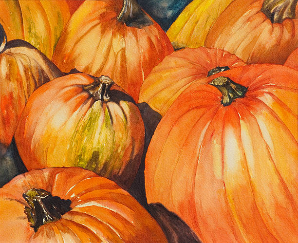 Watercolor Painting of Pumpkins "Photo of original watercolor painting of pumpkins in a pumpkin patch.More paintings, interior furnishings and design elements:" pumpkin patch watercolor stock illustrations