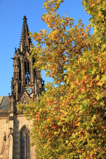 It is autumn in Basel. Ash trees in front of the Margrethenkirche.Other Basel pictures from my portfolio: