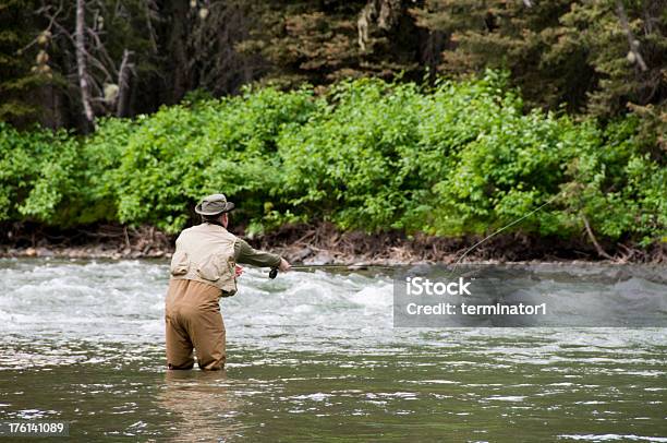 Fliegenfischen In Montana Stockfoto und mehr Bilder von Fliegenfischen - Fliegenfischen, Montana, Angel