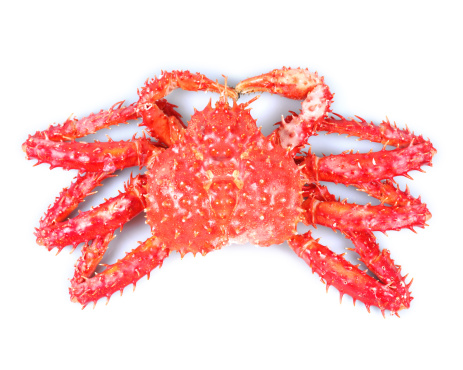 A big alaskan king crab isolated on white