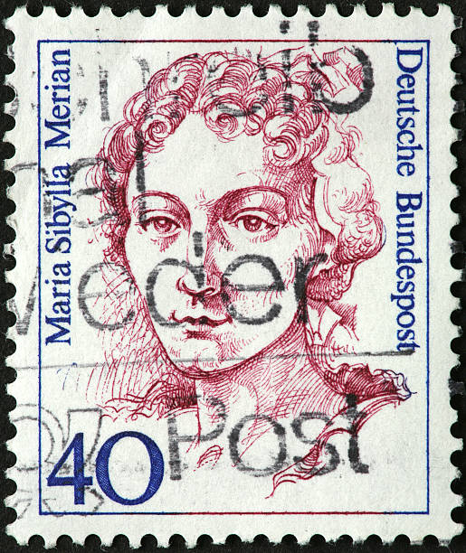 istock Maria Sibylla Merian 176142388