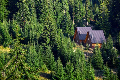 Two mountain cottages in the mountain forrest