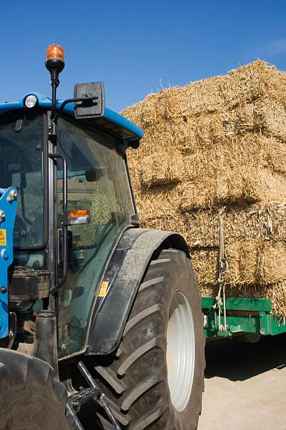 istock tractor with load of hay 176143133