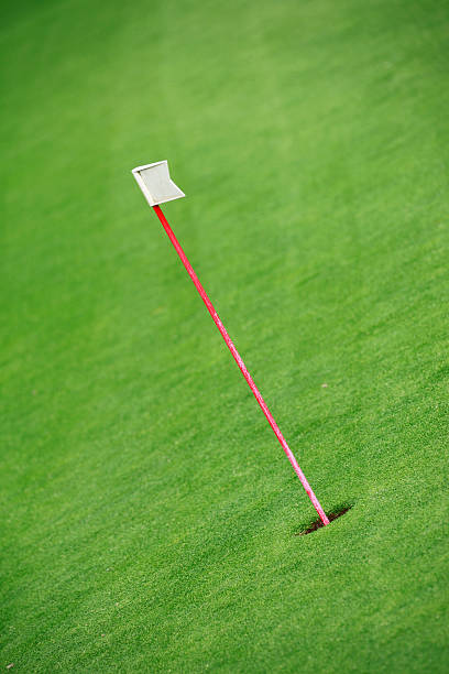 パッティンググリーントレーニングの旗 - golf green practicing sports training ストックフォトと画像