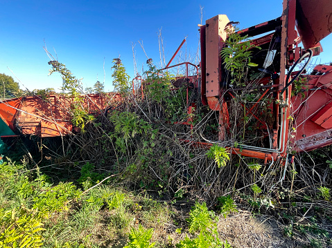 Overgrown farm machinery left in a field