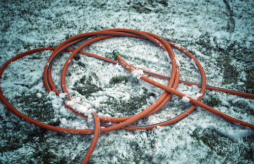 uncollected garden water hose on the ground covered with snow, winter scene