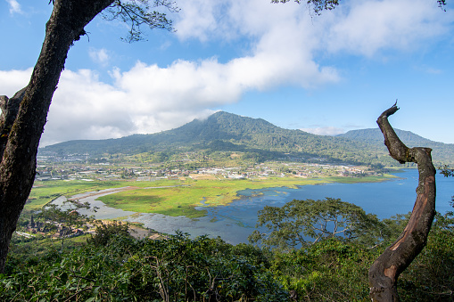 Buyan lake is a lake located in the Buleleng regency, Bali. This lake is one of three twin lakes formed in a large caldera. It is flanked by two other lakes, namely Lake Tamblingan in the west and Lake Beratan in the east. Lake Buyan is the largest of the 3 lakes in the Bedugul area.