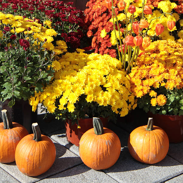 istock Market Stall Pumpkins and Flowers 176148382