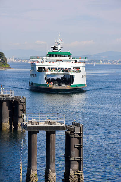istock Crowded Car and Passenger Ferry Arriving 176148656