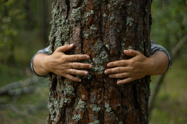 istock Save the planet. Hands gently hug the tree trunk, protecting it from being cut down. Protecting forests from deforestation. A man takes care of trees and tries to protect them. 1761486820