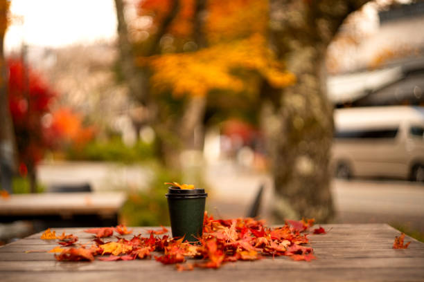 Free Stock Photo of Autumn leaves and cup of coffee in nature ...