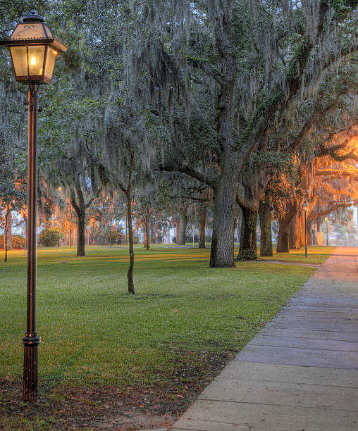 istock Savannah GA: Park at Dawn with Live Oak Trees 176149287