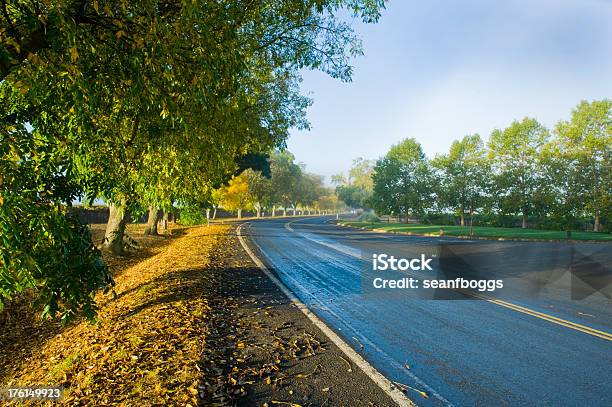 霧 Road にナパカリフォルニアの日の出 - かすみのストックフォトや画像を多数ご用意 - かすみ, カリフォルニア州, ナパバレー