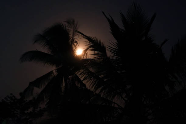istock the moon in the night sky 1761511113