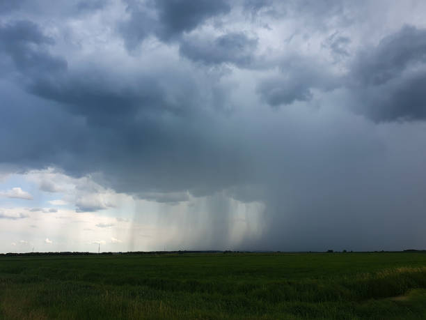 istock A beautiful thundercloud with rain hovered over a field of wheat. A terrible black cloud on the eve of a tornado and a natural disaster. 1761521481
