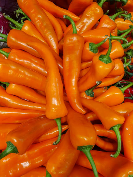 Fresh tasty pepper. Orange hot peppers background.