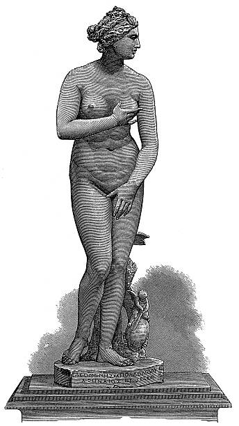 ilustraciones, imágenes clip art, dibujos animados e iconos de stock de venus - aphrodite