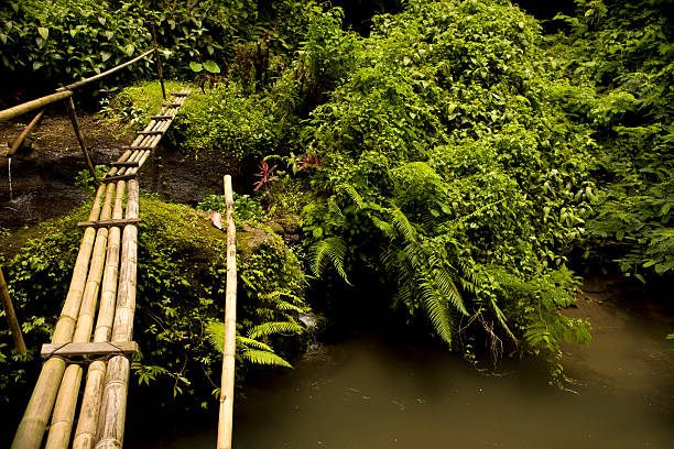 Jungle Foot Bridge "Bamboo cross bridge over the Ayung River in the middle of the rain forest, Bali." bamboo bridge stock pictures, royalty-free photos & images
