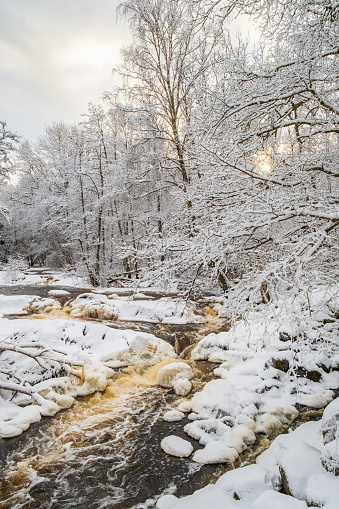 Winter landscape with a river and flowing water