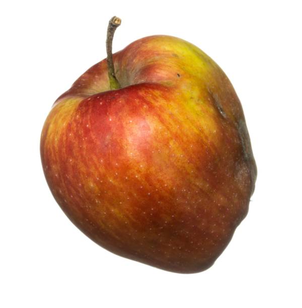 istock Red ripe apple isolated on a white background 1761560700