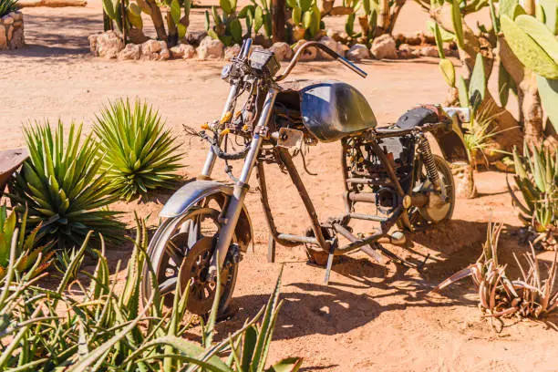 Old motobike among prickly pear plants at Solitaire, Sesriem, Namibia