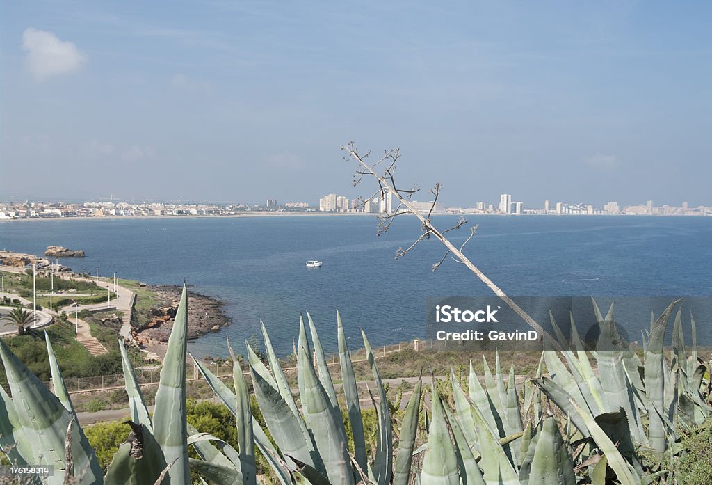 La Manga wyświetlić w Cabo de Palos w Murcia - Zbiór zdjęć royalty-free (Aloes)