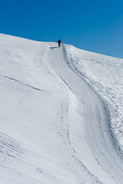 istock Lonely hiker in the alps 176160349