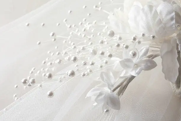 close up of bridal veil and headpiece