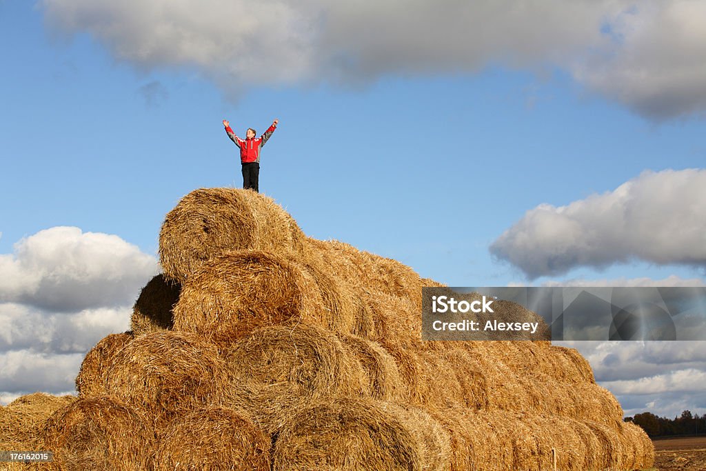 Ragazzo guardando il cielo - Foto stock royalty-free di 10-11 anni