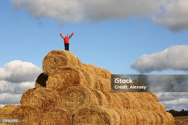 Ragazzo Guardando Il Cielo - Fotografie stock e altre immagini di 10-11 anni - 10-11 anni, Agricoltura, Ambientazione esterna