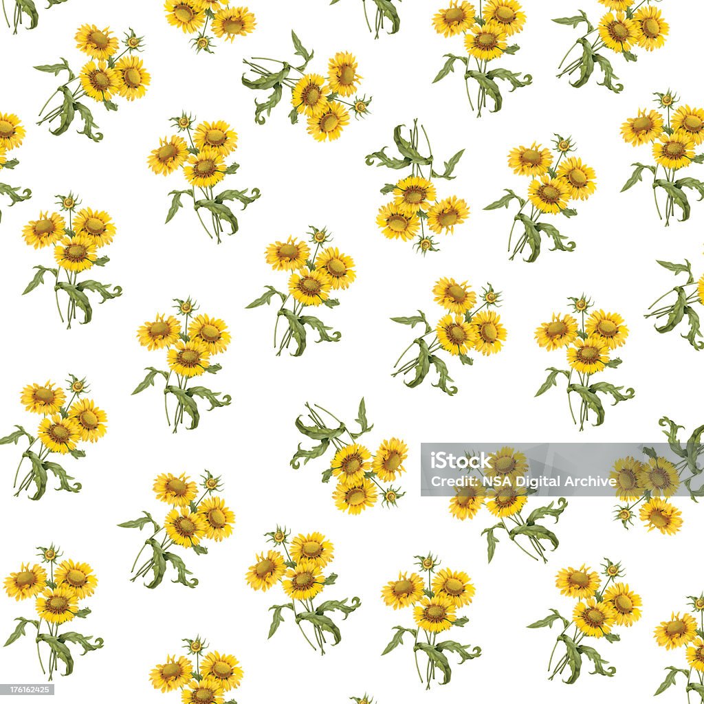 Tapete mit Sonnenblumen/Antik Illustrationen - Lizenzfrei Sonnenblume Stock-Illustration