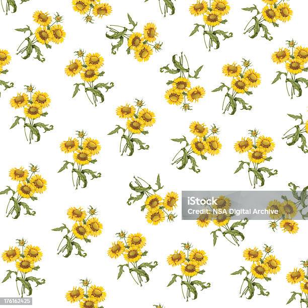 Tapete Mit Sonnenblumenantik Illustrationen Stock Vektor Art und mehr Bilder von Sonnenblume - Sonnenblume, 19. Jahrhundert, Alt