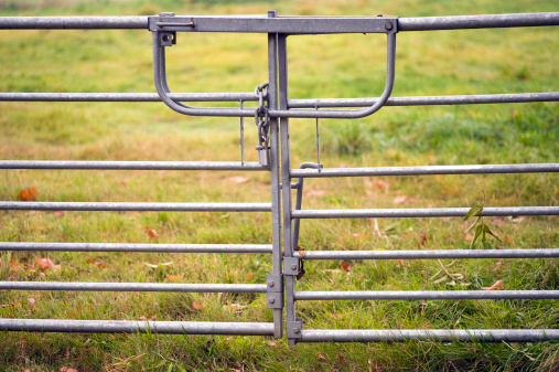 Locked galvanised farm gate with a padlock