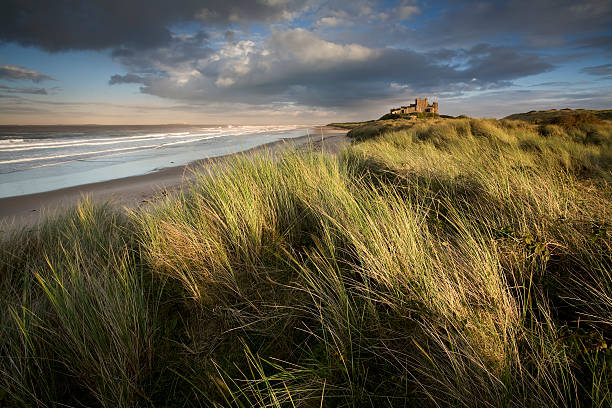 Bamburgh Castle at Sunset This is Bamburgh Castle in Northumberland, England. The Farne Islands are visible on the horizon. farne islands stock pictures, royalty-free photos & images