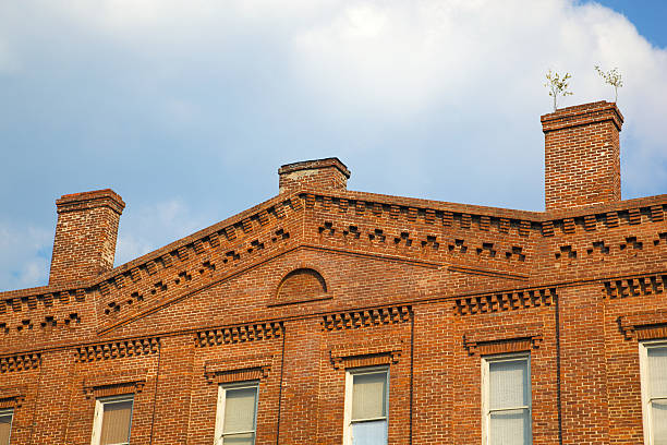 istock Brick Rooftop with Plant Growing Chimney 176163545