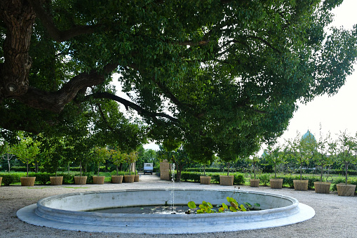 Water fountain in a formal garden