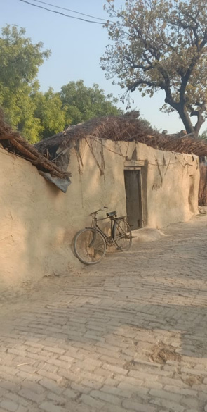 The village view with bicycle at the house