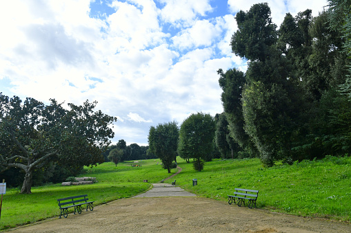 An avenue in the city park of a royal palace.