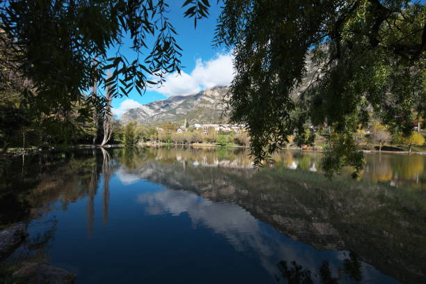 istock willow branches at Lac du Lauzet; Lauzet-Ubaye 1761642369